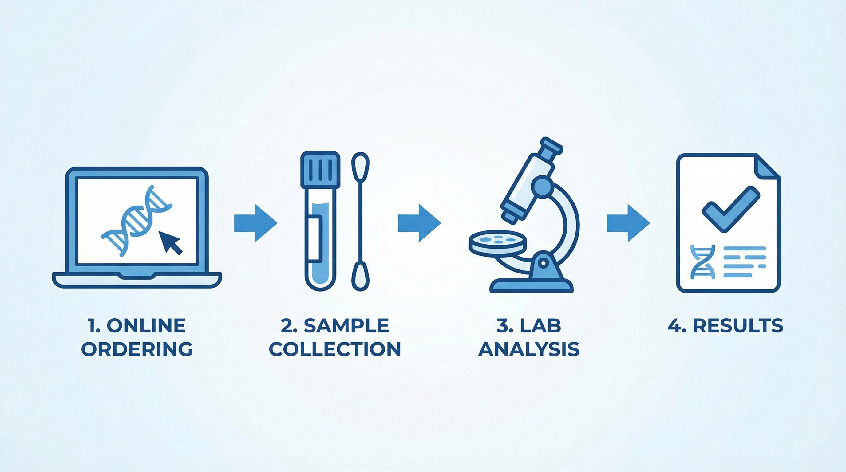 4-step DNA testing process